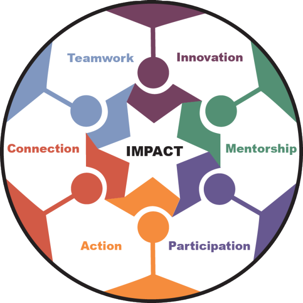 Circle Graphic Illustration with 6 sections around the word Impact, describing the values of Stanford Anesthesiology department. The six sections include: Innovation, Mentorship, Participation, Action, Connection and Teamwork